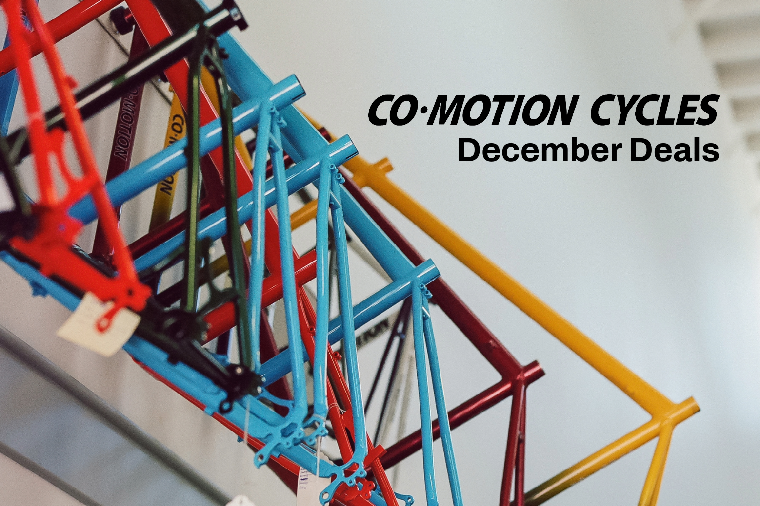 December Deals: The Ride of a Lifetime Starts Here